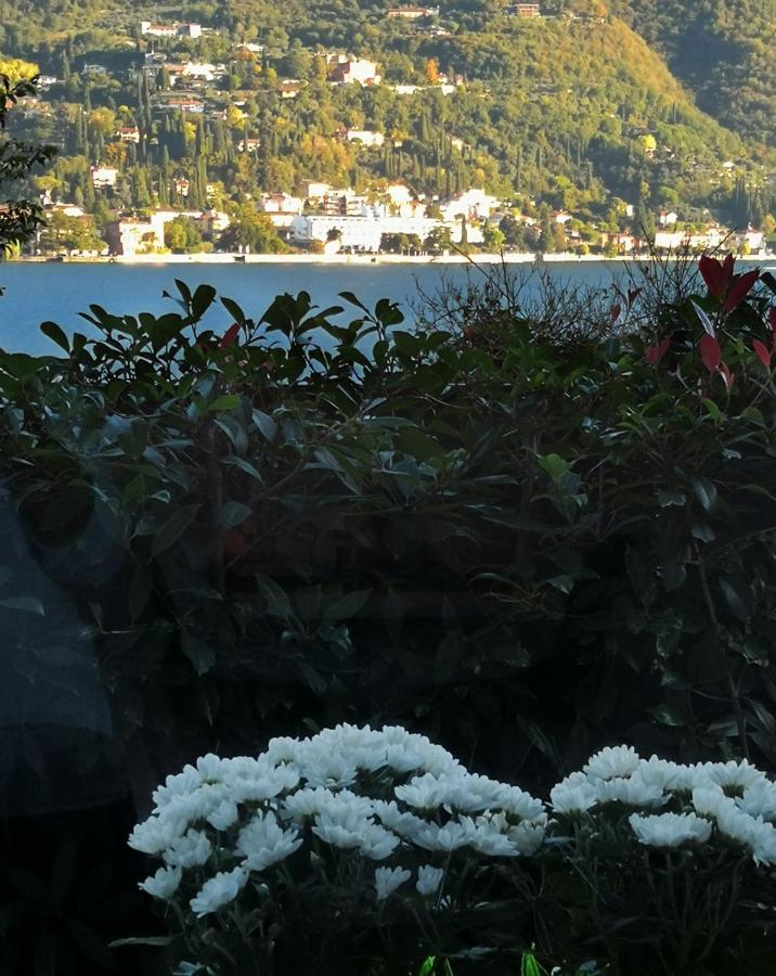 B&B Le Farfalle Сан-Феличе-дель-Бенако Экстерьер фото